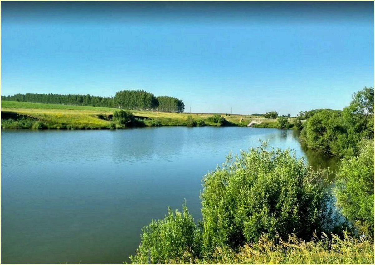 Лучшие базы отдыха в Пензе и Пензенской области с водоемами и возможностью рыбалки