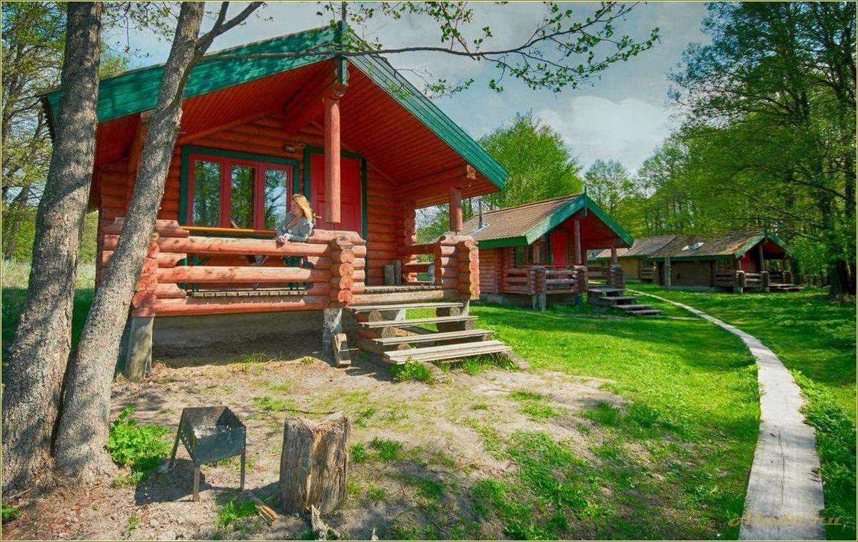 Базы отдыха на Чудском озере в Псковской области — лучшие варианты для недорогого отдыха
