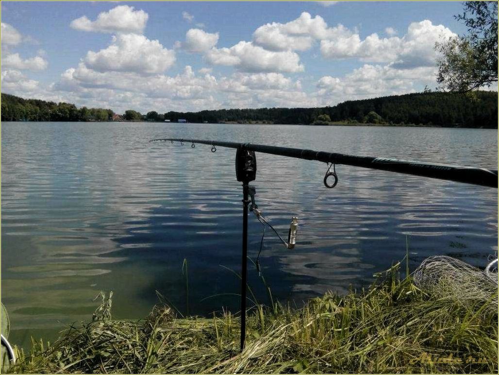 Лучшие базы отдыха в Пензе и Пензенской области с водоемами и возможностью рыбалки