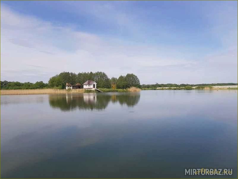 Лучшие базы отдыха в Орле и Орловской области с комфортабельными домиками и возможностью рыбалки