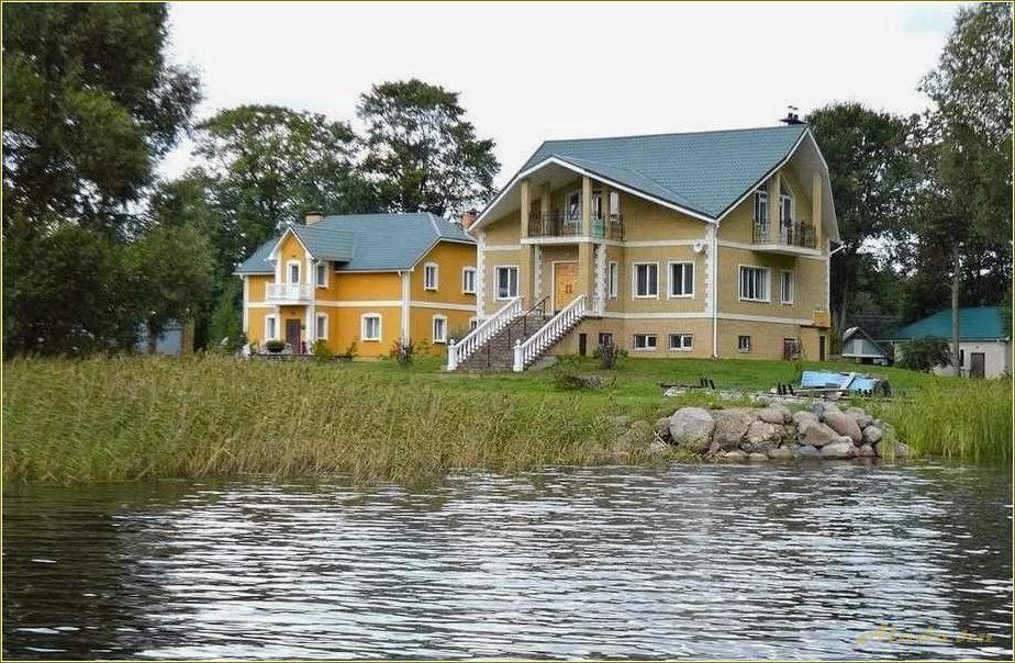 Базы отдыха в Псковской области на берегу озера — идеальный вариант для отдыха с детьми по доступной цене