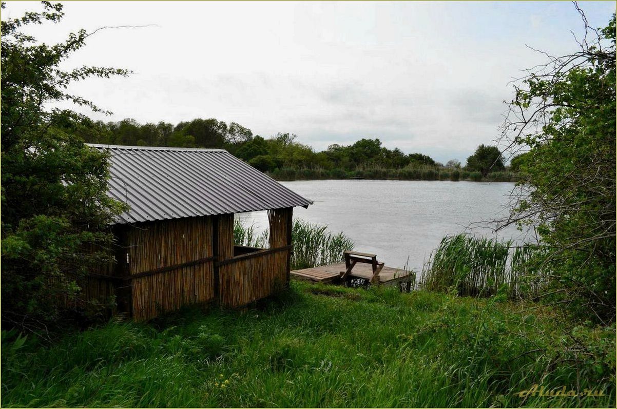 Базы отдыха в Псковской области на берегу озера — недорого и с рыбалкой!