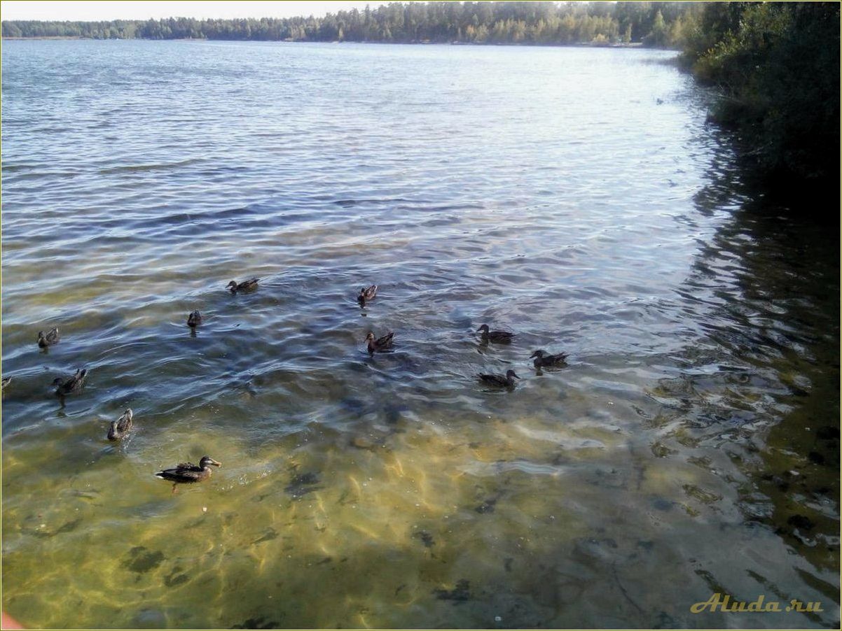 Отдых на Белом озере в Николаевском районе Ульяновской области