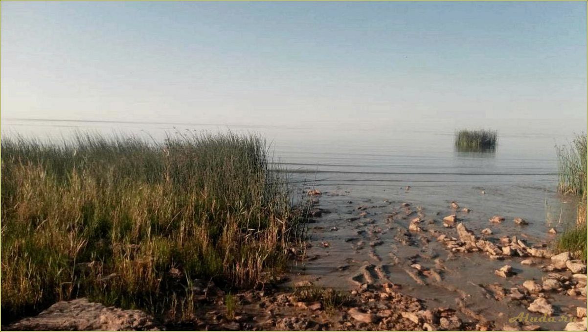 Морской чулек — ростовская область — база отдыха для идеального семейного отпуска на берегу Азовского моря