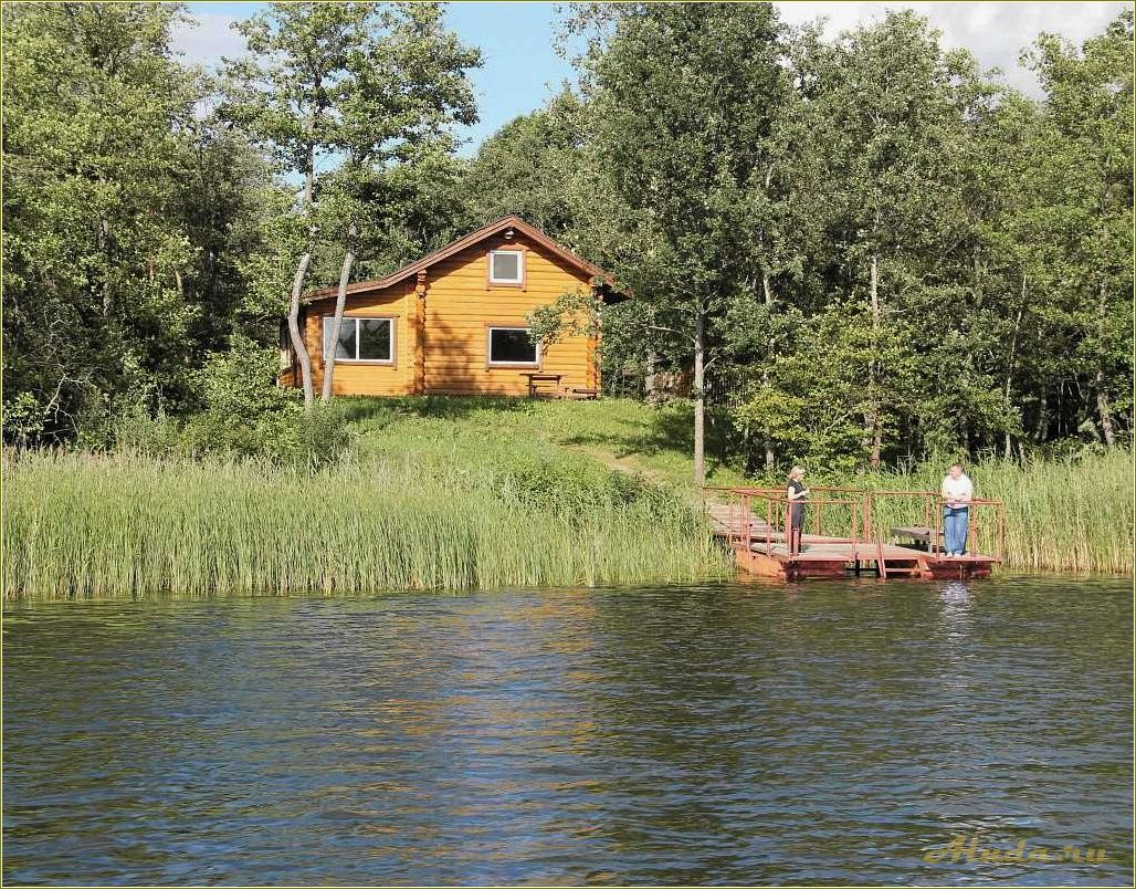 Отдых в Псковской области у озера — недорого, с питанием и летом — идеальный вариант для отпуска!