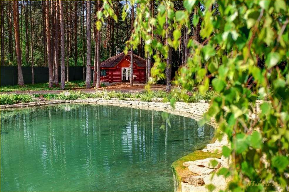 Озеро — идеальное место для отдыха в Нижегородской области