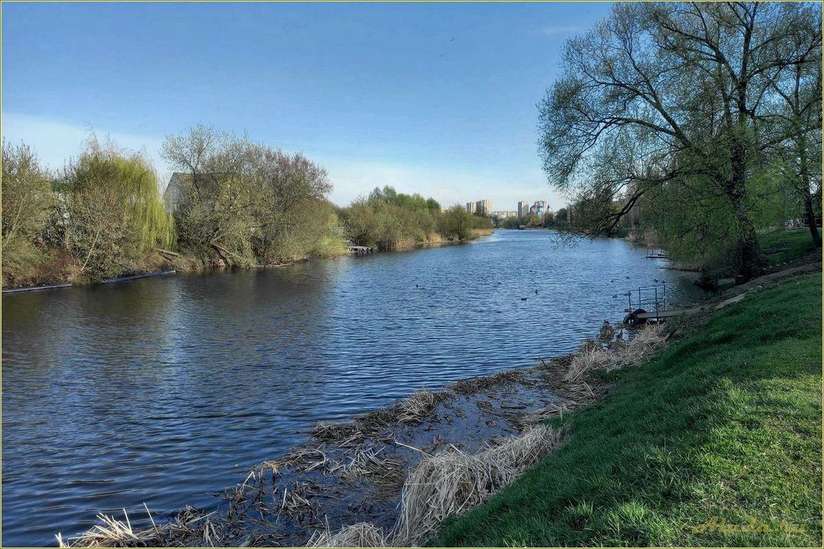 Река Цна Тамбовской области — идеальное место для отдыха
