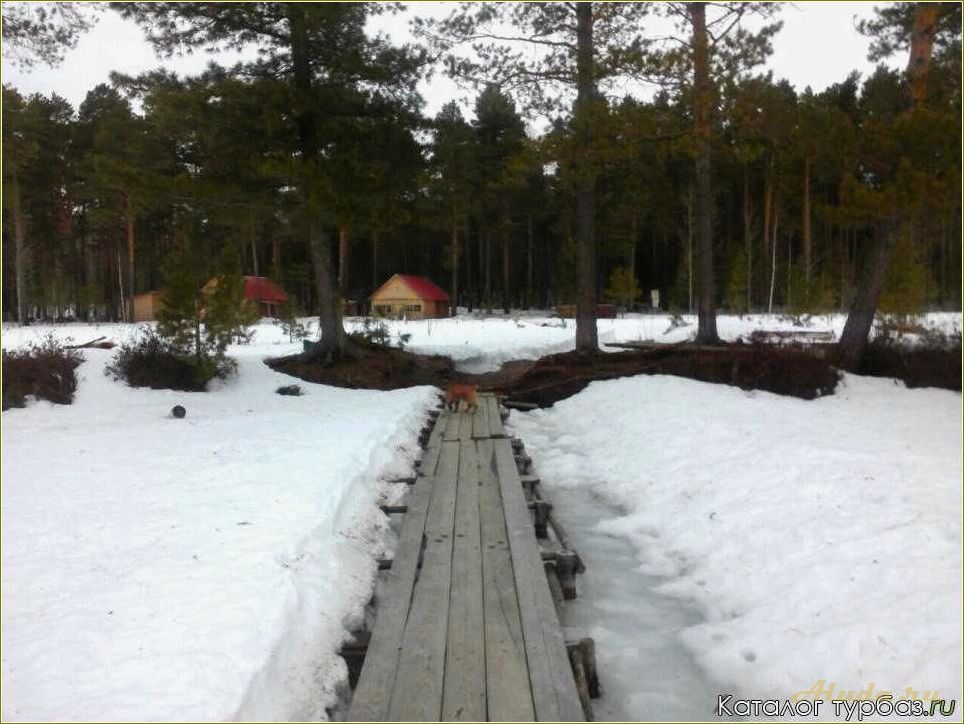 База отдыха в Чертанах, Томская область: отличный выбор для отдыха на природе