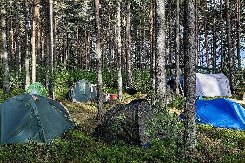 База отдыха для палаточного проживания в живописной Ленинградской области — насладитесь природой и комфортом