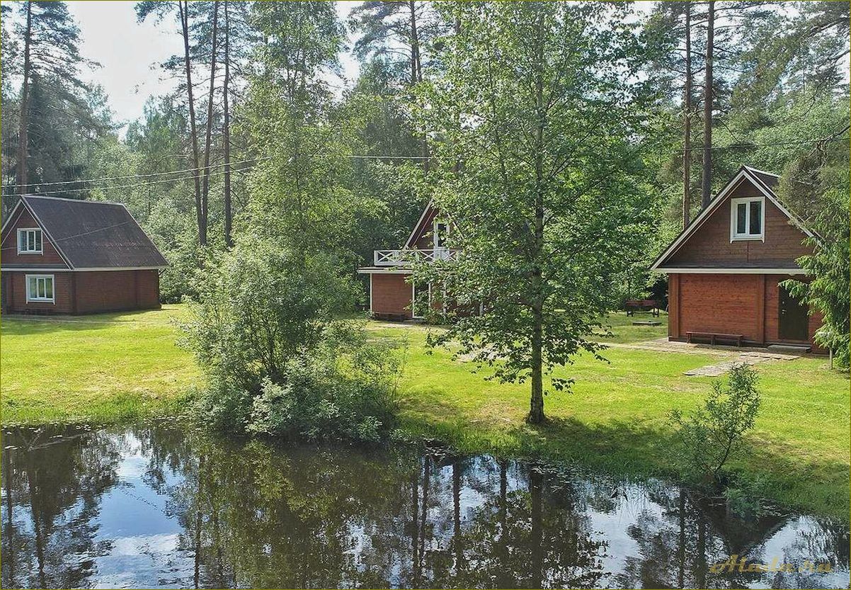 База отдыха в Новгородской области — идеальное место для семейного отдыха и активного времяпрепровождения