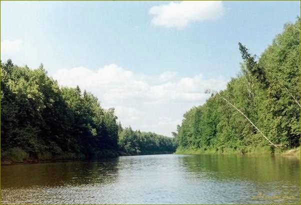 Уникальная база отдыха в тайге Нижегородской области — наслаждайтесь природой и комфортом