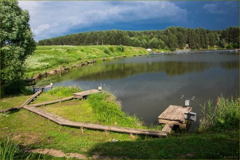 Лучшие базы отдыха на водоеме во Владимирской области — отличный выбор для комфортного отдыха на природе!