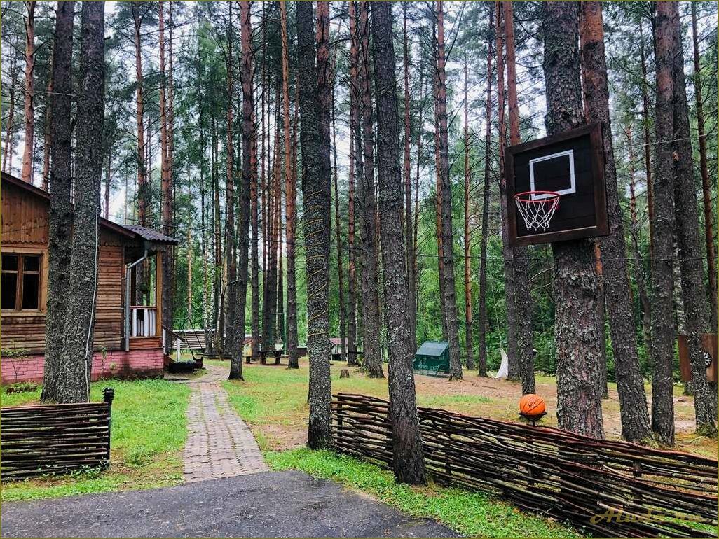 Лучшие базы отдыха в Нижегородской области — отпуск с комфортом и развлечениями