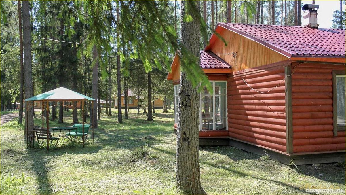 Былина база отдыха в Новгородской области — идеальное место для отпуска и релаксации