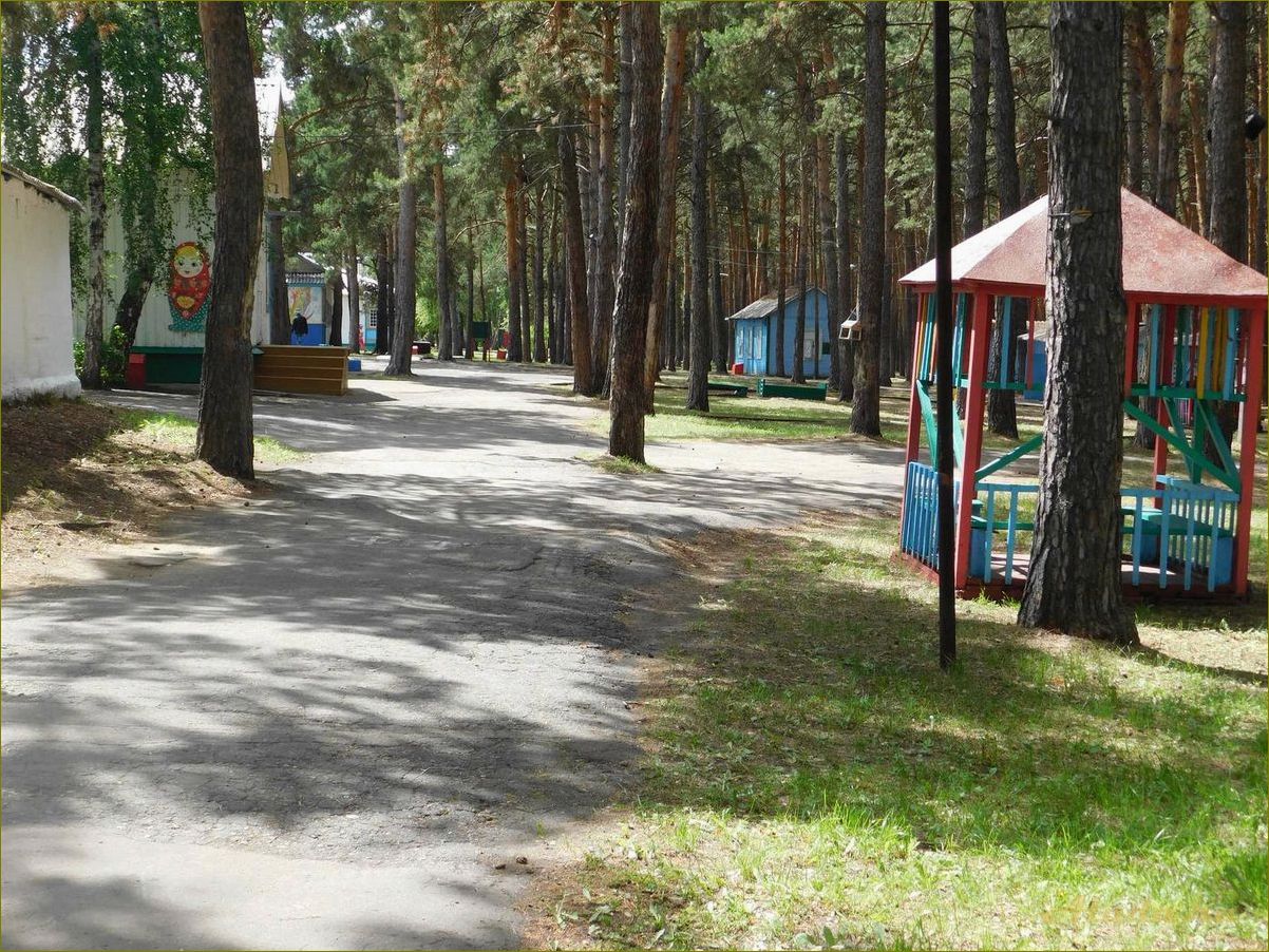 Детские лагеря отдыха в Омской области — варианты развлечений, безопасность и комфорт для вашего ребенка