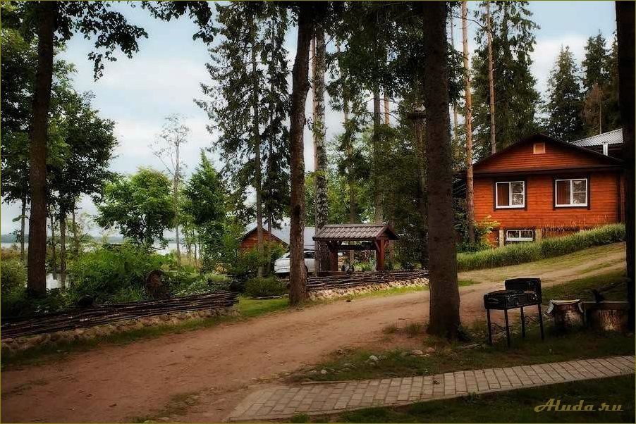 Лучшие дома отдыха и базы отдыха в Новгородской области — идеальное место для релаксации и активного отдыха