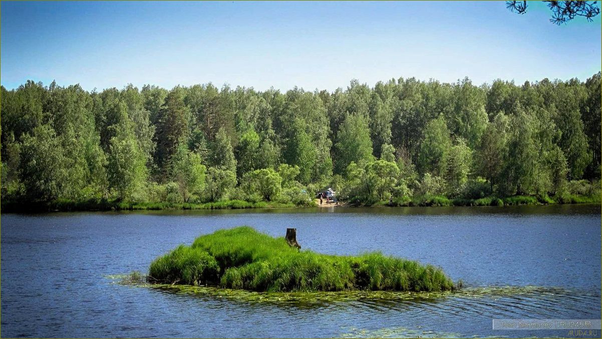 Куровское — идеальное место для отдыха в Московской области — природа, достопримечательности, развлечения