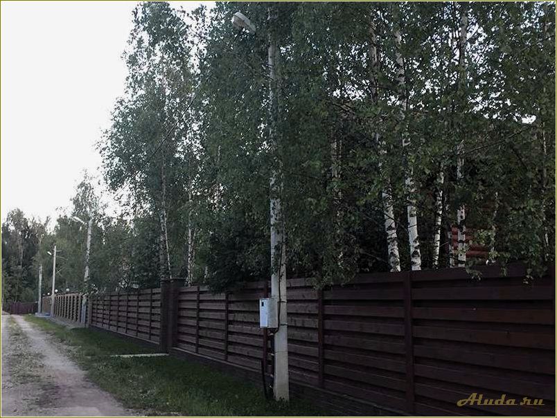 Лесная поляна в Ярославской области: достопримечательности и прелести природы