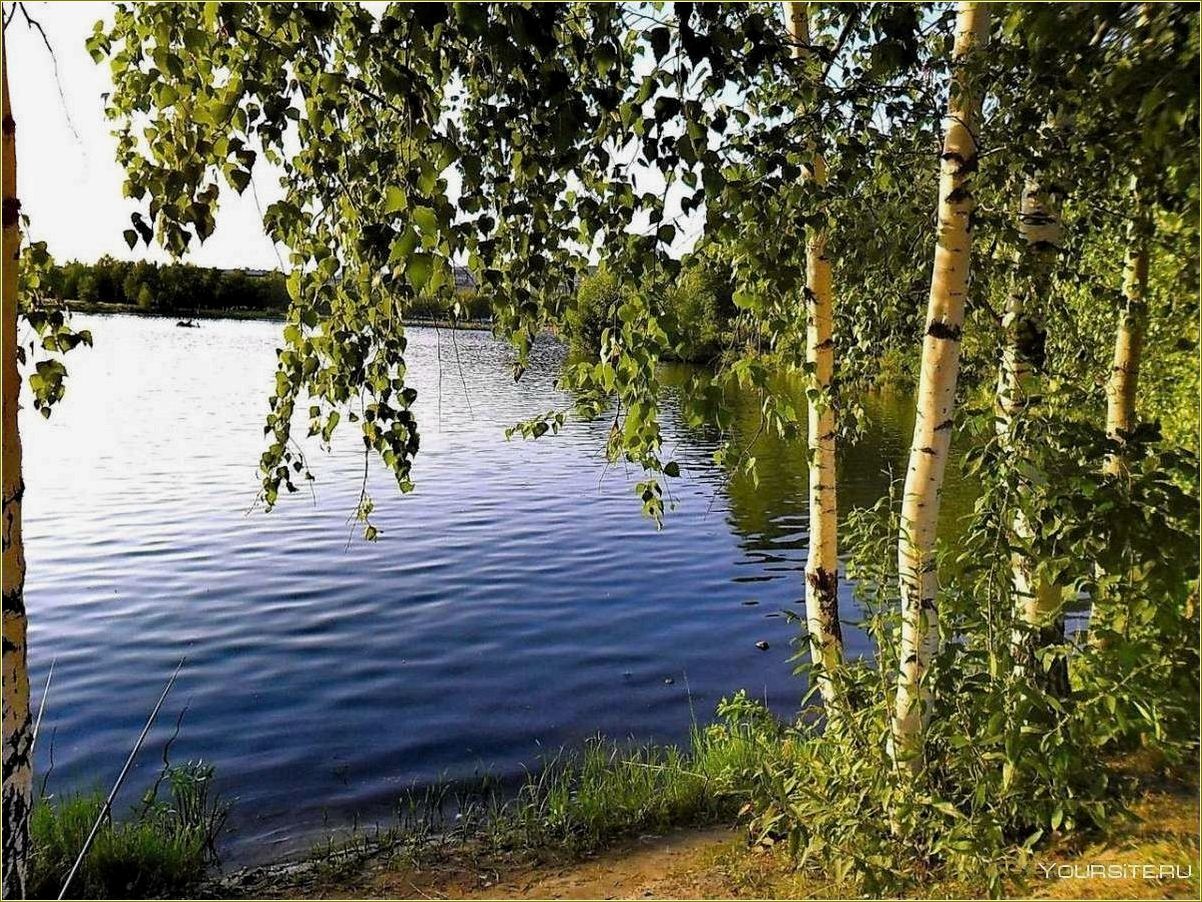 Отдых на берегу озера или реки в Смоленской области: лучшие места и возможности