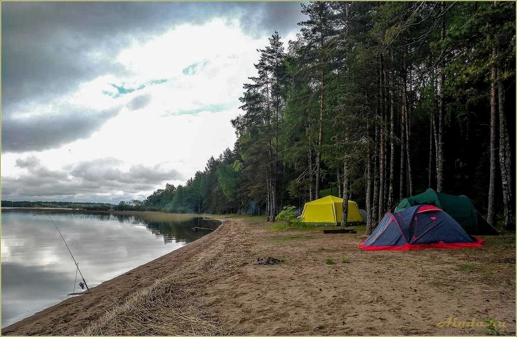Отдых на берегу озера или реки в Смоленской области: лучшие места и возможности