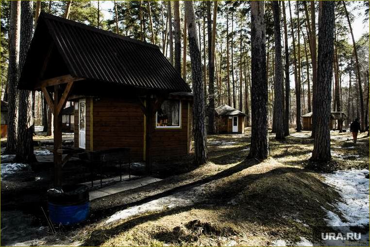 Топ-10 лучших турбаз Архангельской области для идеального отдыха в окружении природы и комфорта