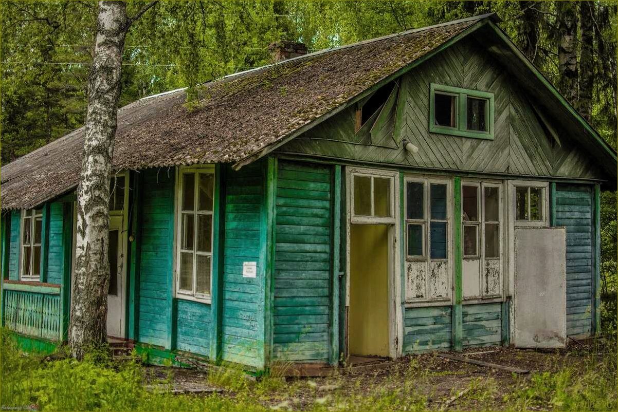 Заброшенная база отдыха в Московской области — история утраченного курорта и его загадочное настоящее