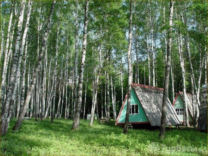 Уникальная база отдыха в прекрасной природной обстановке Ельца в Липецкой области