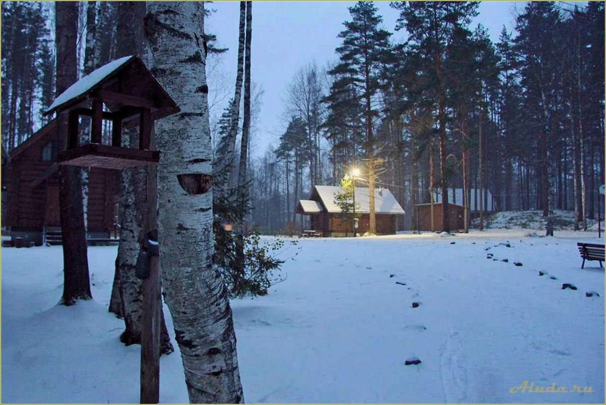 Базы отдыха свердловской области для зимнего отдыха