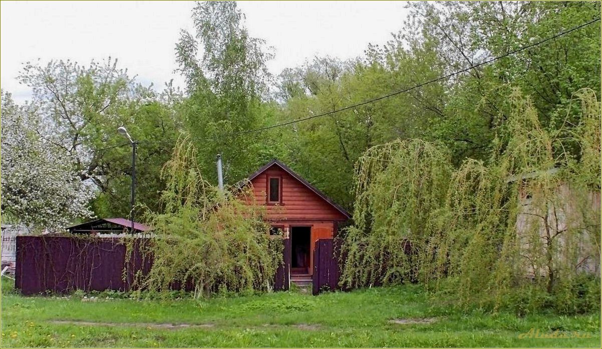 Уютный дом отдыха на берегу озера в живописной Рязанской области — идеальное место для идеального отдыха!