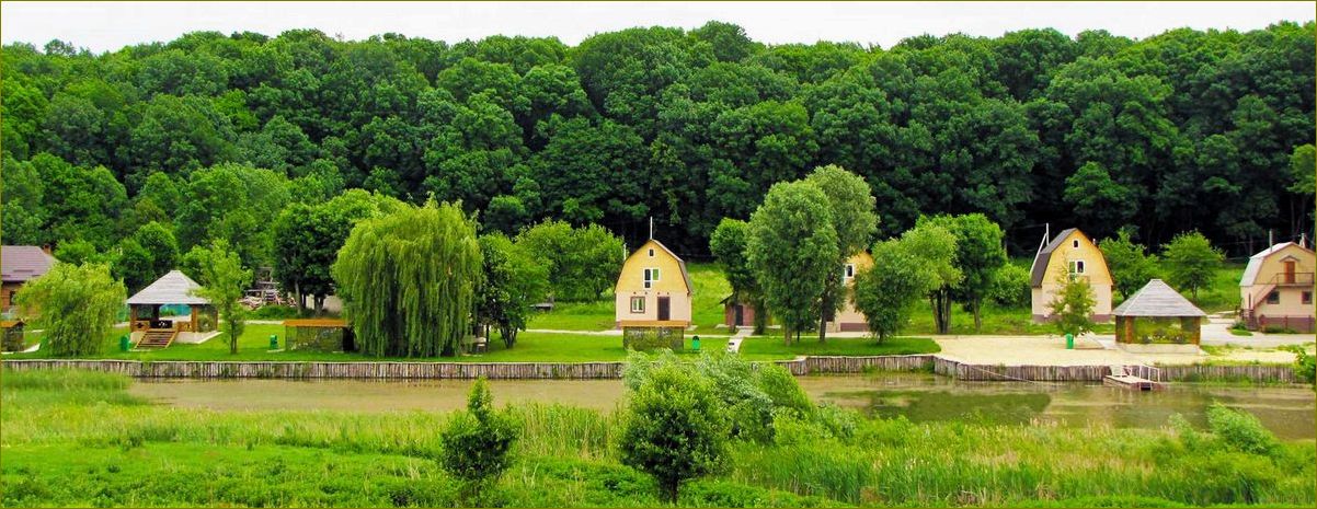 Корочанское водохранилище — открытая база отдыха в Белгородской области, где можно насладиться природой и активным отдыхом