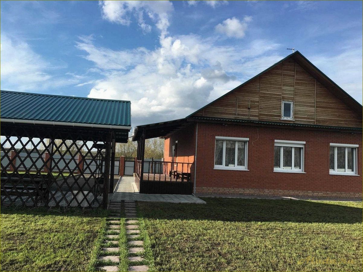 Отдых за городом в Омской области — лучшие места для семейного отдыха и активного времяпровождения