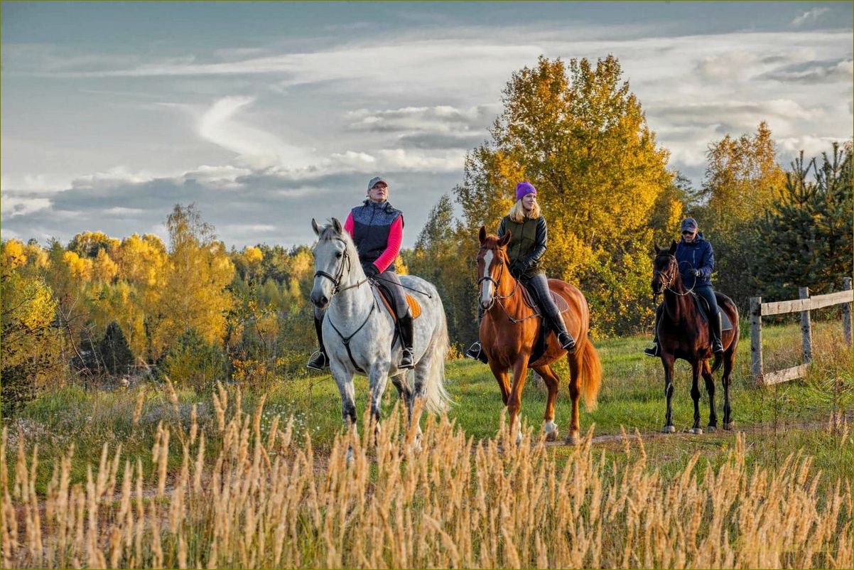 Отдых на лошадях в Новгородской области — идеальный способ насладиться природой и ощутить дух старины