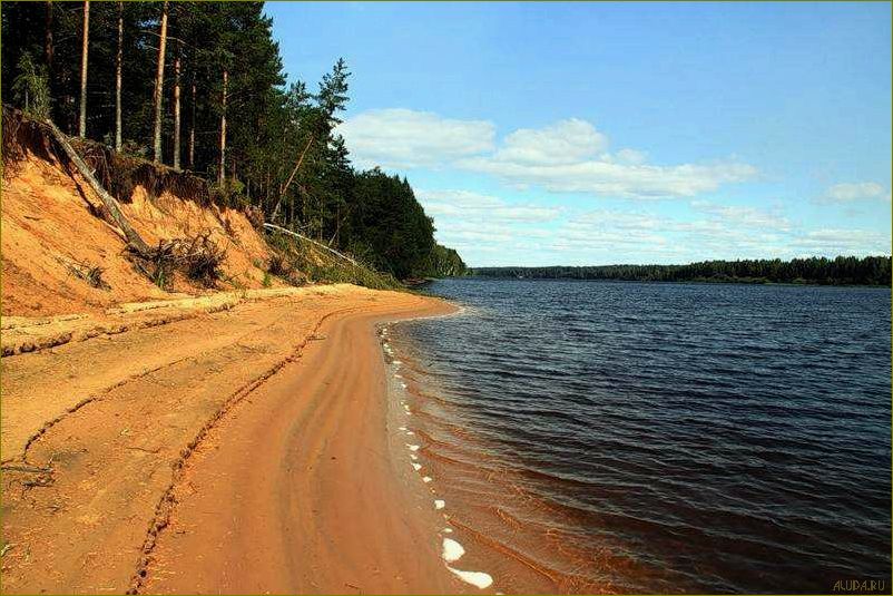 Отдых на реке Молога в Вологодской области — прекрасная возможность насладиться природой и активным отдыхом в живописном уголке России!