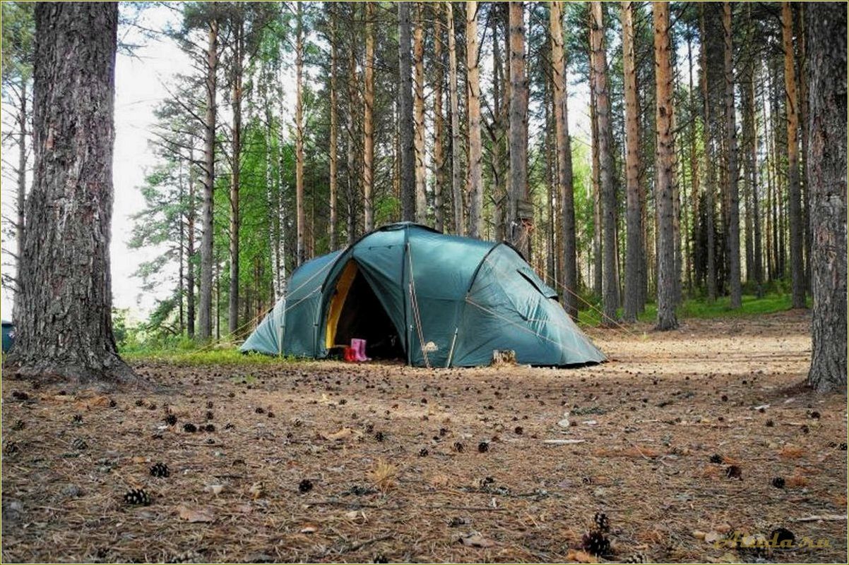 Отдых с палатками на Волге в Ярославской области