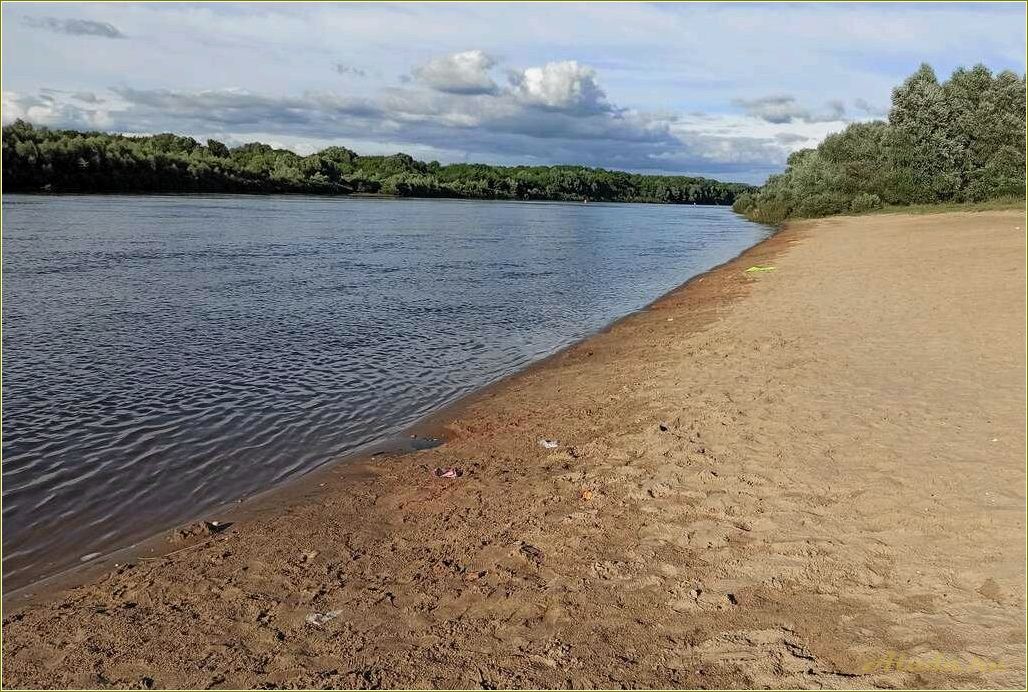 Лучшие водоемы Рязанской области для комфортного и разнообразного отдыха