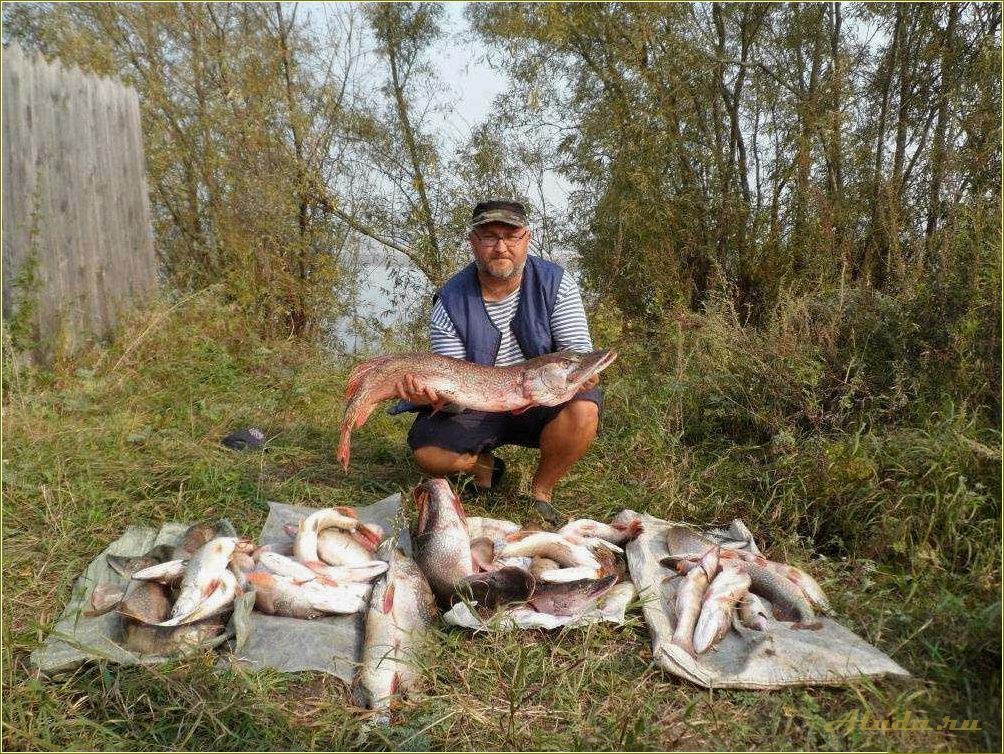 База отдыха для рыбалки в Томской области