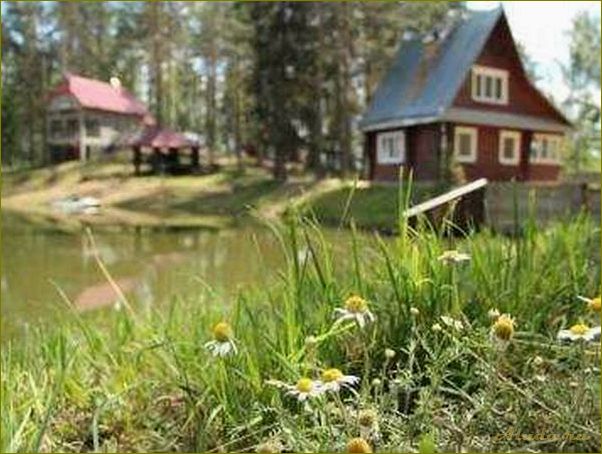 Новгородская область — сельский туризм и его привлекательность для отдыха и путешествий