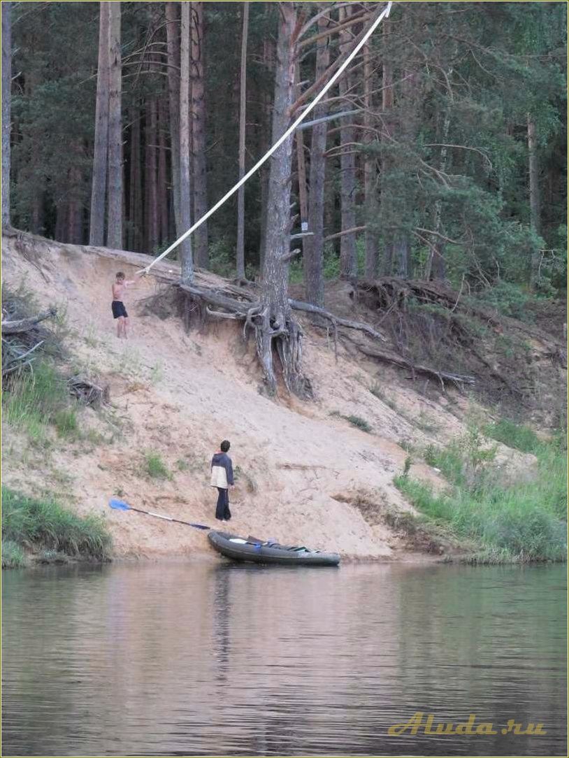 Отдых на медведице Тверская область