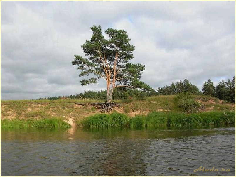 Отдых на медведице Тверская область