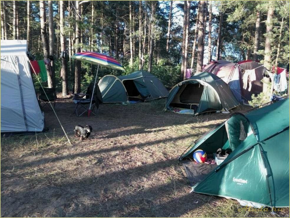 Отдых с палатками на водохранилище в Тамбовской области