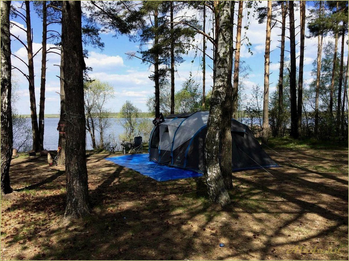 Отдых с палатками на водохранилище в Тамбовской области