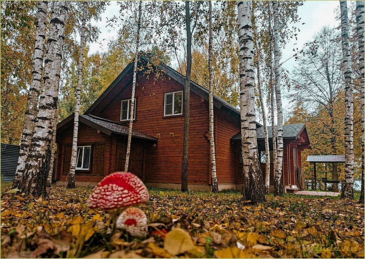 База отдыха в Смоленской области 