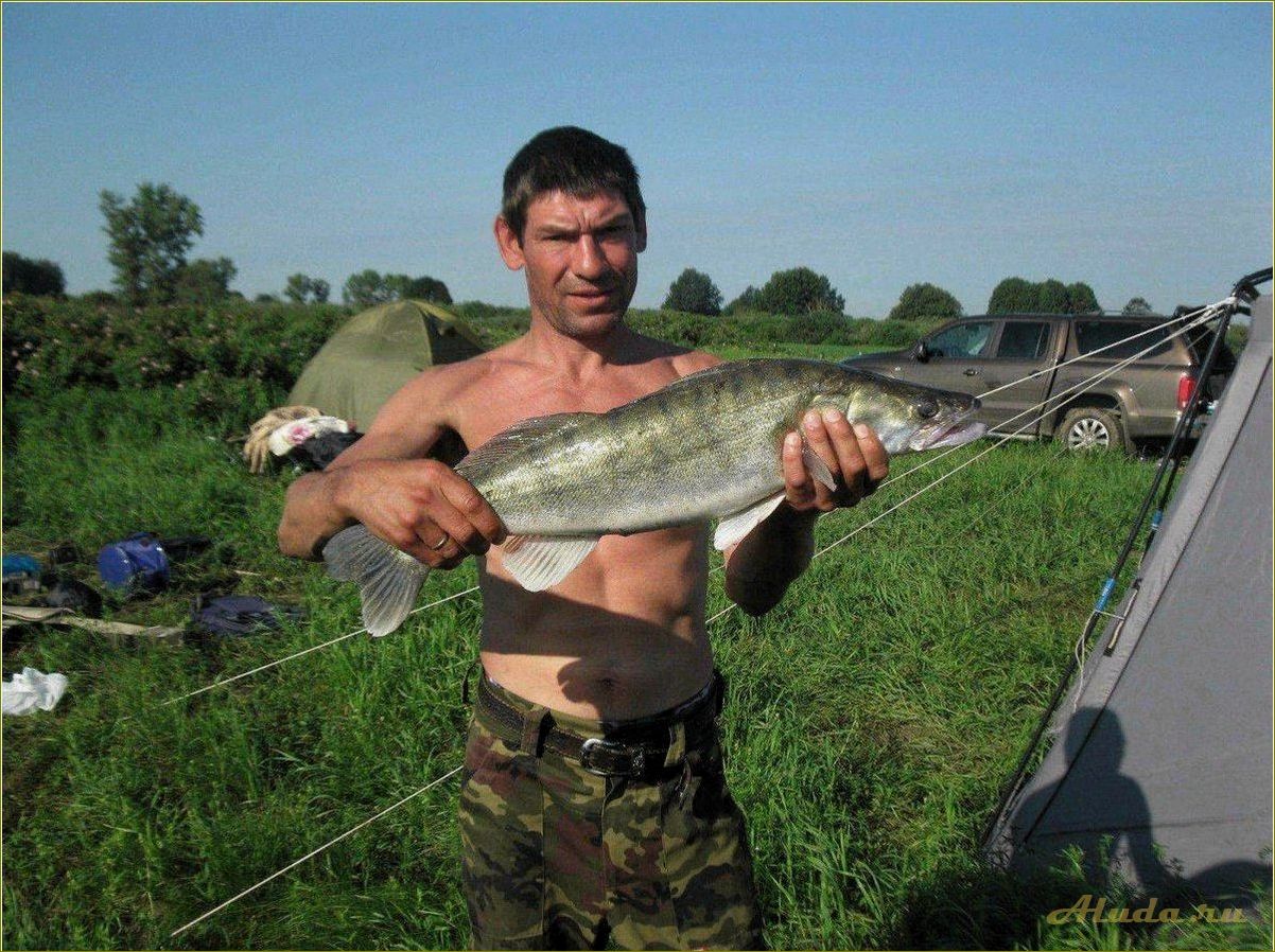 Отдых на оке в Рязанской области — базы с рыбалкой и купанием для идеального летнего отпуска