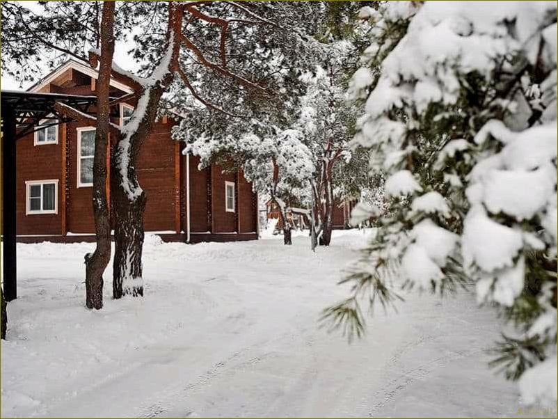 Отдых в Белгородской области — лучшие базы для семейного отдыха в живописных уголках региона