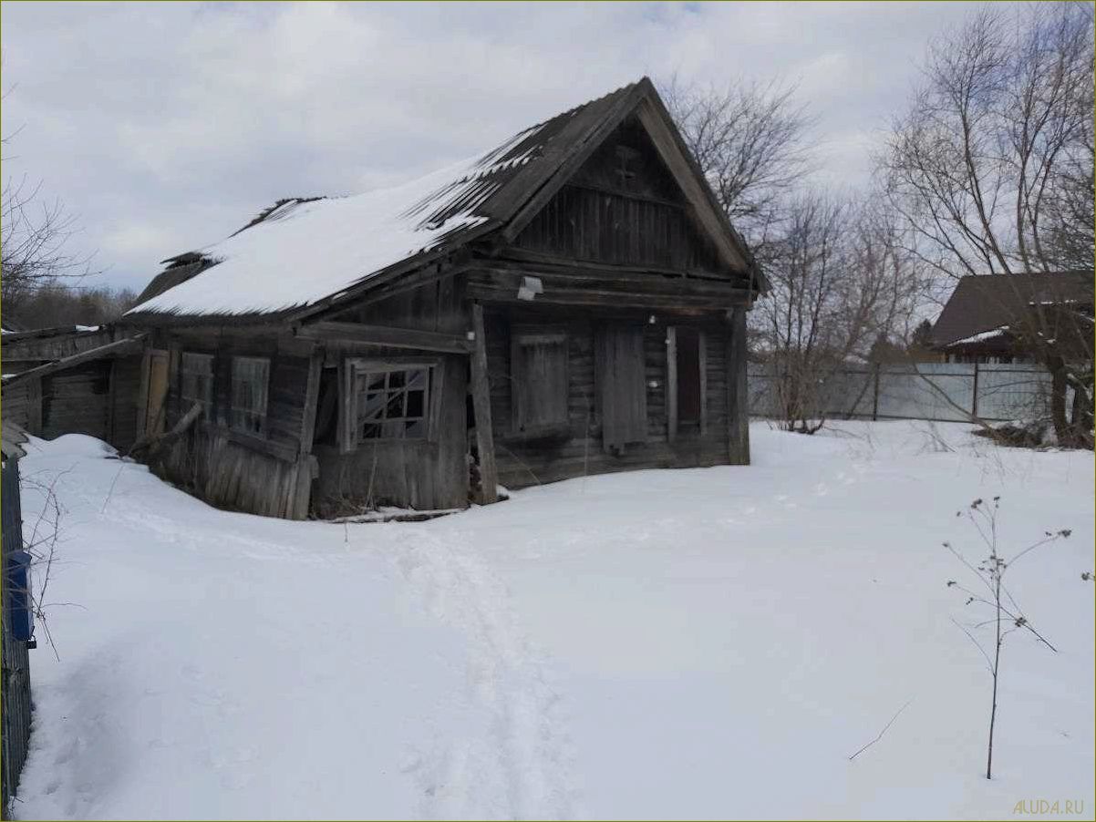 Богородское — владимирская область — база отдыха с идеальными условиями для активного отдыха и релаксации