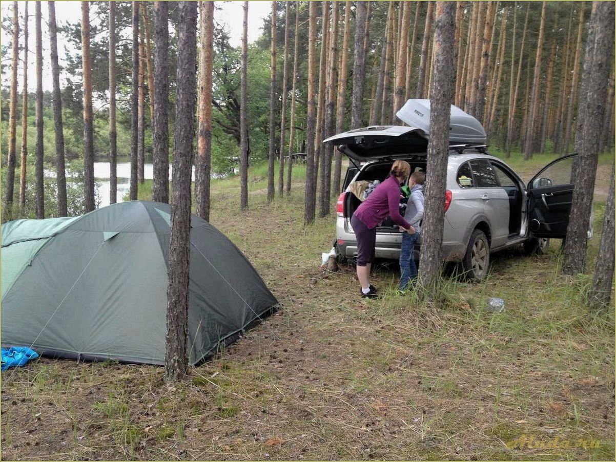 Лучшие места для отдыха с палатками в Рязанской области — наслаждайтесь красотой природы и уютом кемпингов