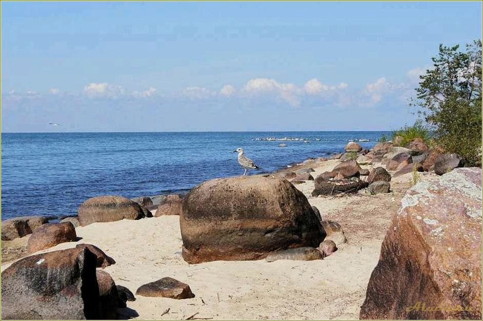 Отдых на талабских островах псковской области — наслаждайтесь красотой природы, уютом и тишиной вдали от городской суеты