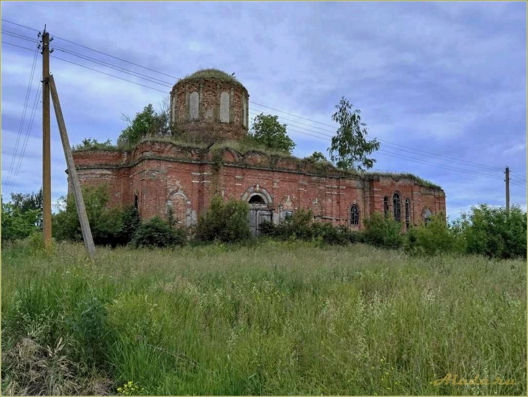 Отдых в скопинском районе рязанской области — лучшие места для активного отдыха и релаксации