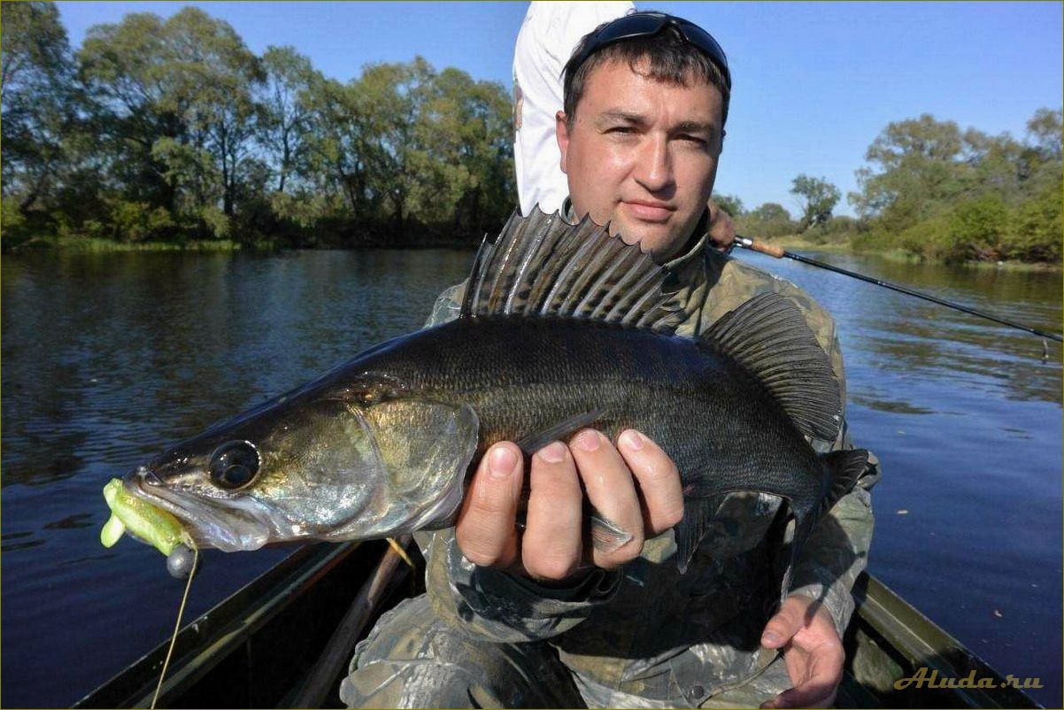 Рыбалка на озере Ильмень Новгородской области — отдых и базы для любителей спортивного рыболовства