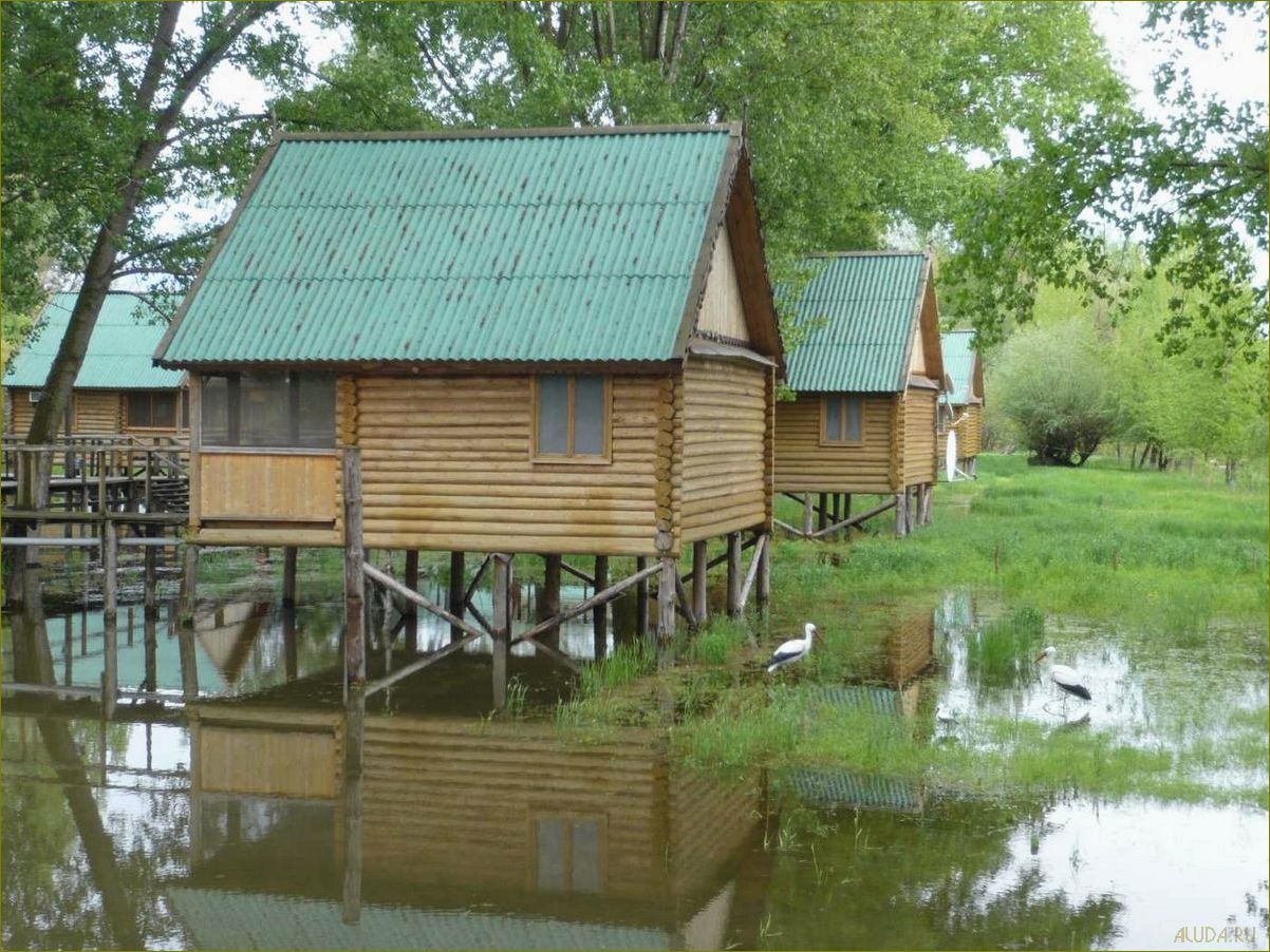 Уютный отдых на берегу реки в Астраханской области — база отдыха 